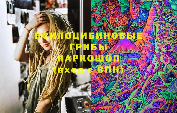 ПСИЛОЦИБИНОВЫЕ ГРИБЫ Белокуриха