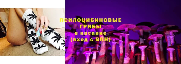 гашик Богородск