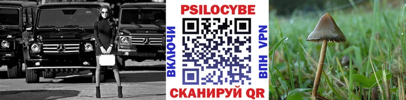 MEGA ONION  Верхотурье  Галлюциногенные грибы Psilocybe 